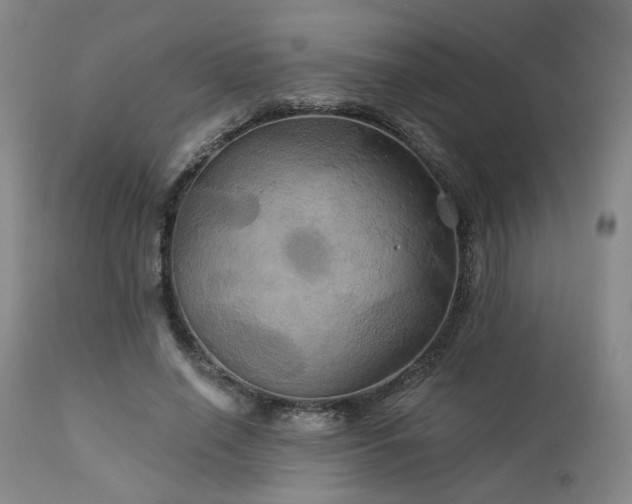 X0000113050638200908271532