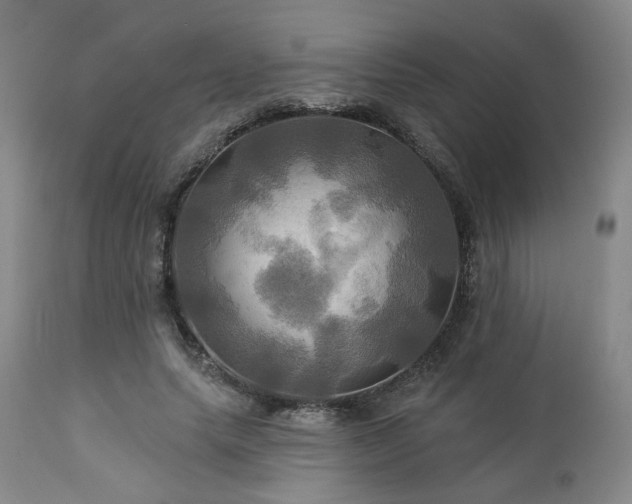 X0000113050639200908271532