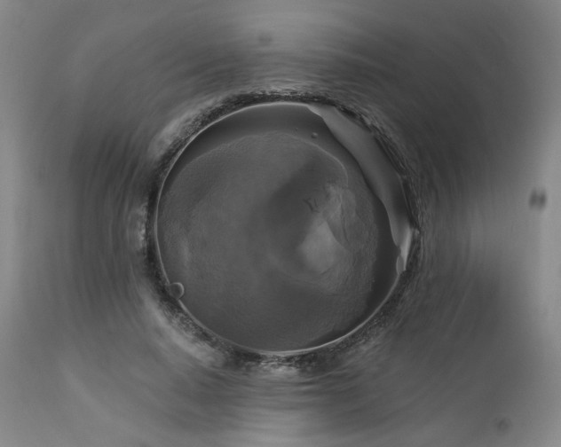 X0000113050640200908271532