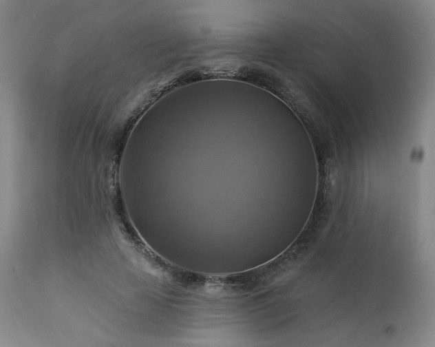 X0000113050641200908271532