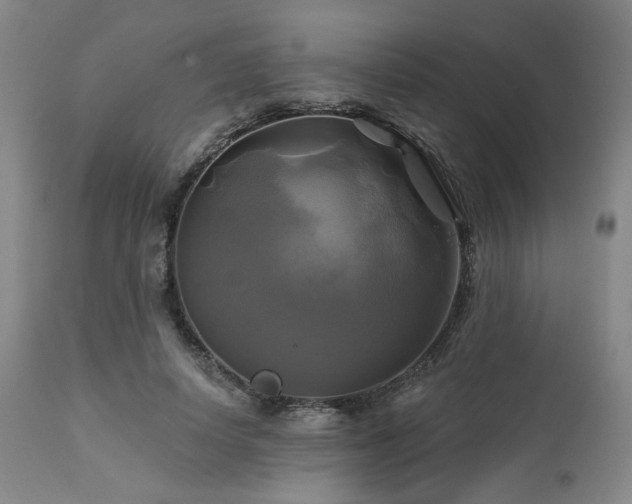 X0000113050642200908271532