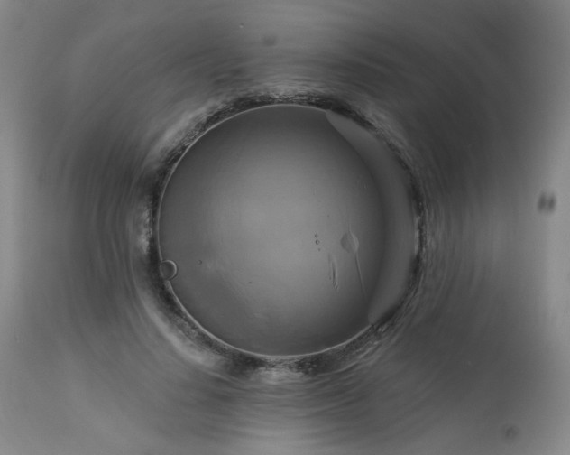 X0000113050644200908271532