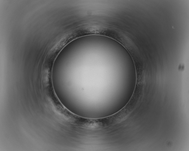 X0000113050646200908271532