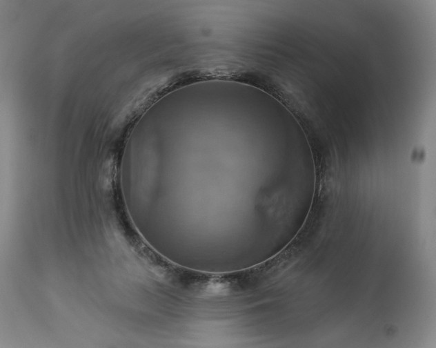 X0000113050647200908271532