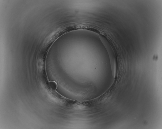 X0000113050648200908271532