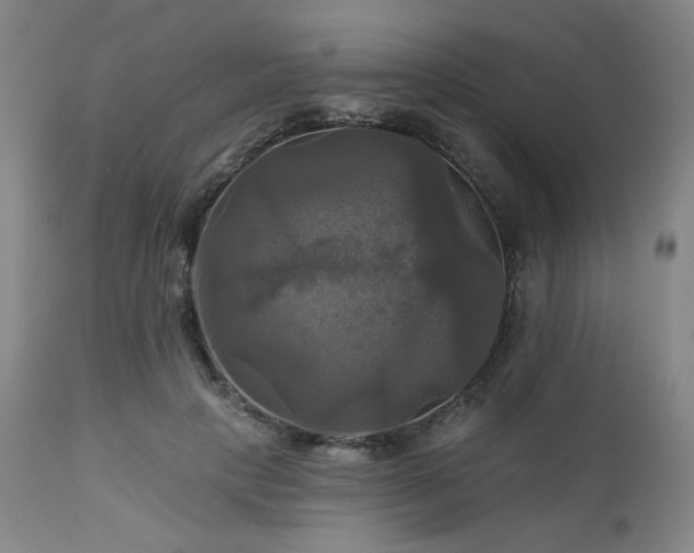 X0000113050649200908271532