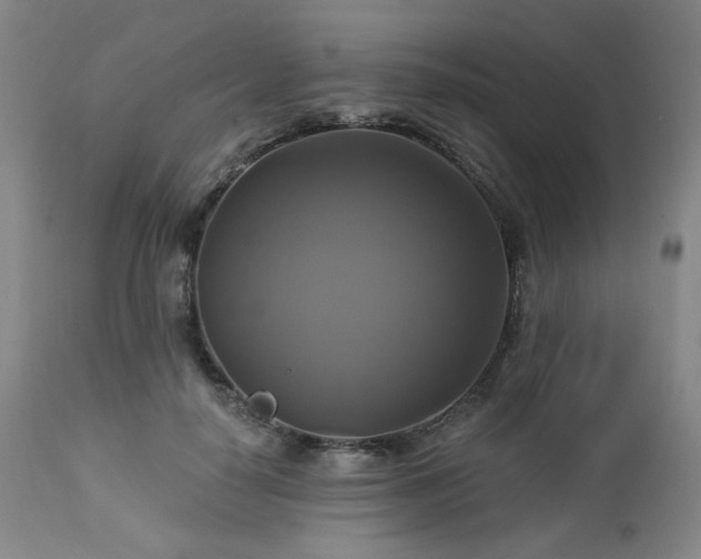 X0000113050650200908271532