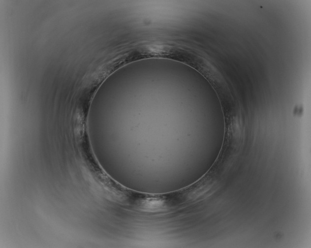 X0000113050651200908271532