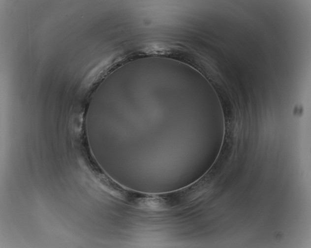 X0000113050652200908271532