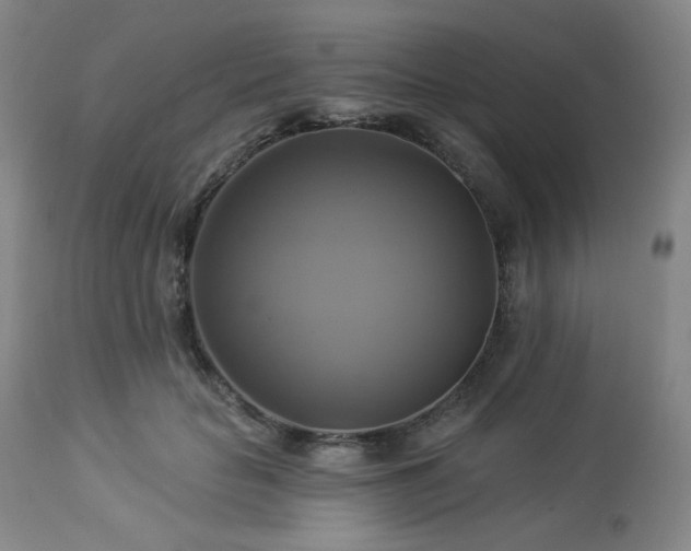 X0000113050653200908271532
