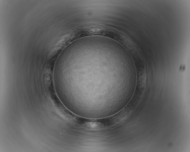 X0000113050654200908271532