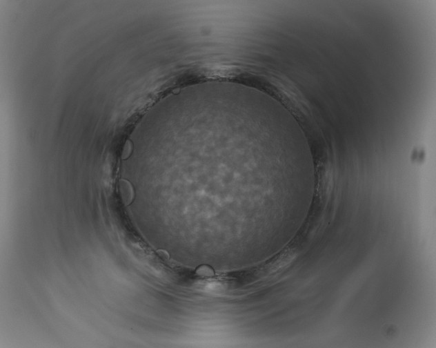 X0000113050655200908271532