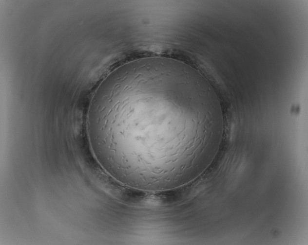 X0000113050656200908271532