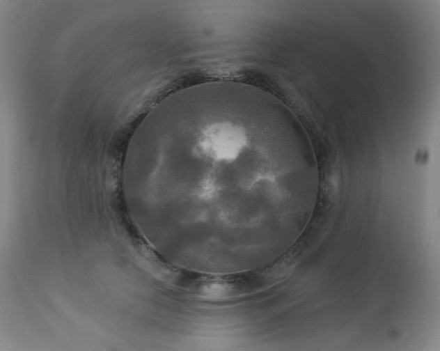 X0000113050658200908271532