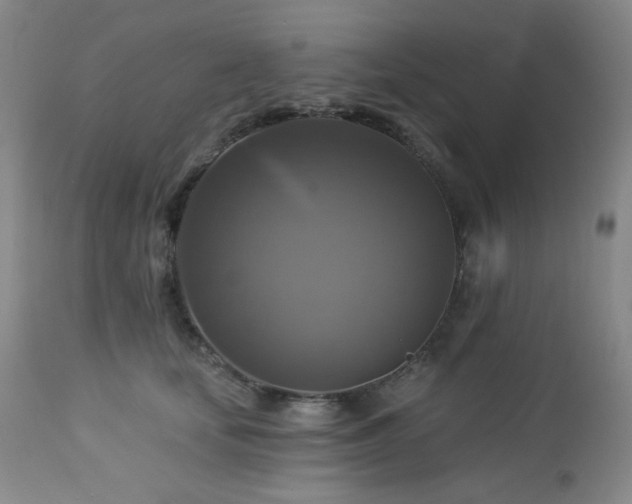 X0000113050659200908271532