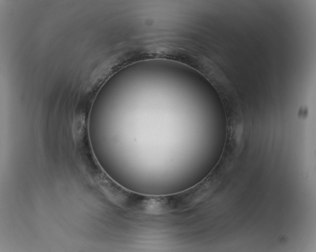 X0000113050660200908271532