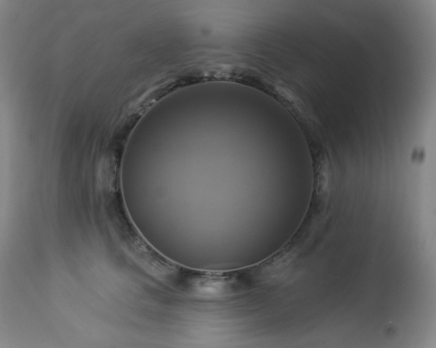 X0000113050661200908271532