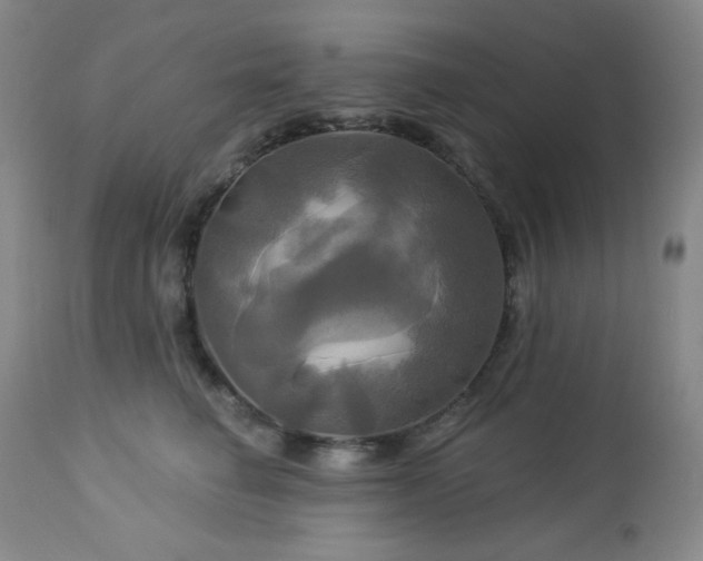 X0000113050662200908271532
