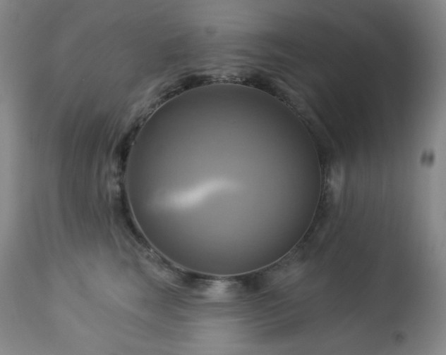 X0000113050663200908271532