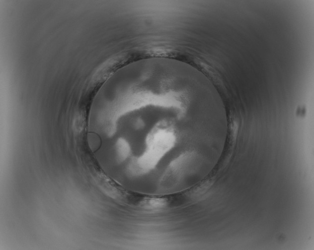 X0000113050665200908271532