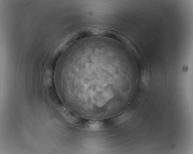 X0000113050667200908271532
