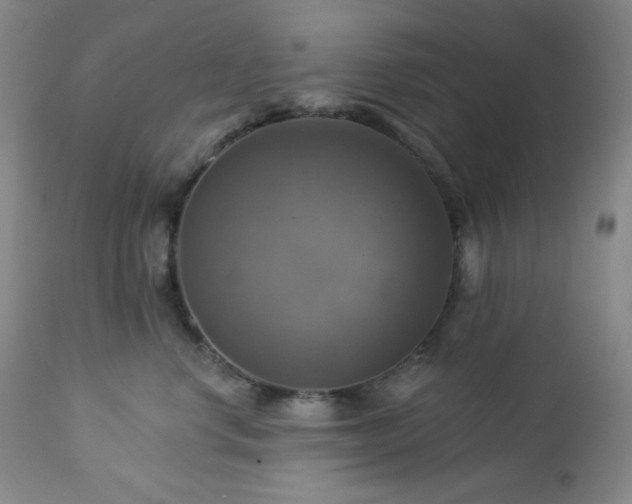 X0000113050668200908271532