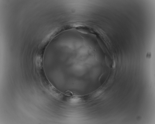 X0000113050669200908271532