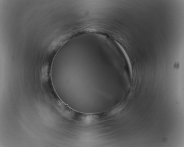 X0000113050670200908271532