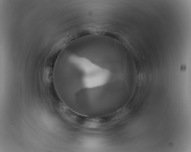 X0000113050671200908271532