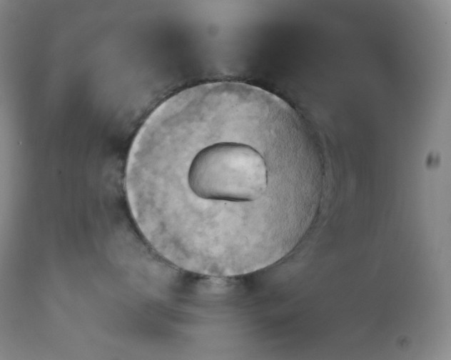 X0000113050672200908271532