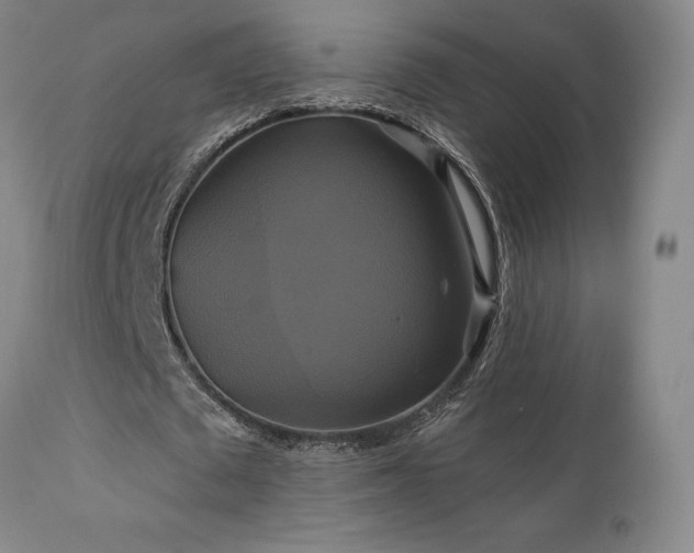 X0000113050673200908271531