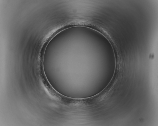 X0000113050674200908271531