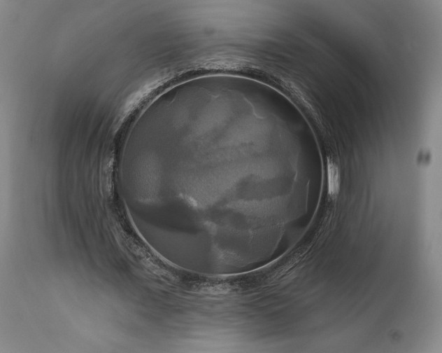 X0000113050675200908271531