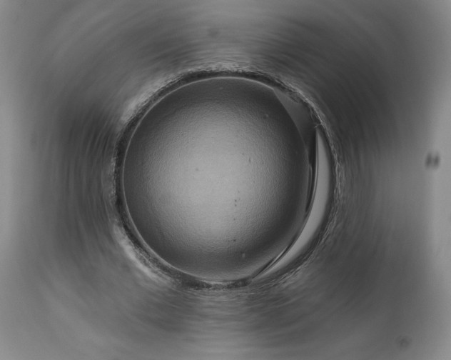 X0000113050677200908271531