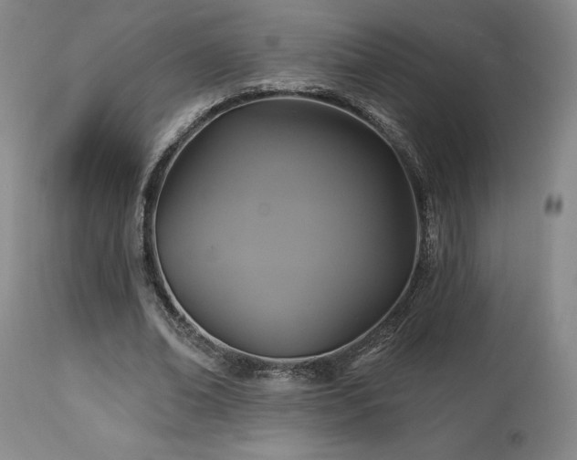 X0000113050678200908271531