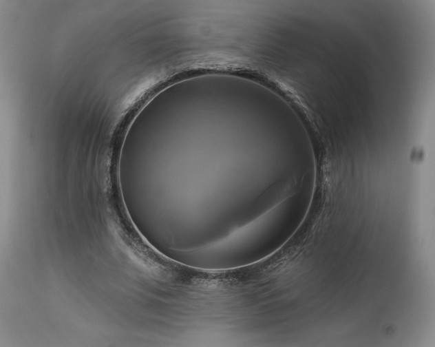 X0000113050679200908271531