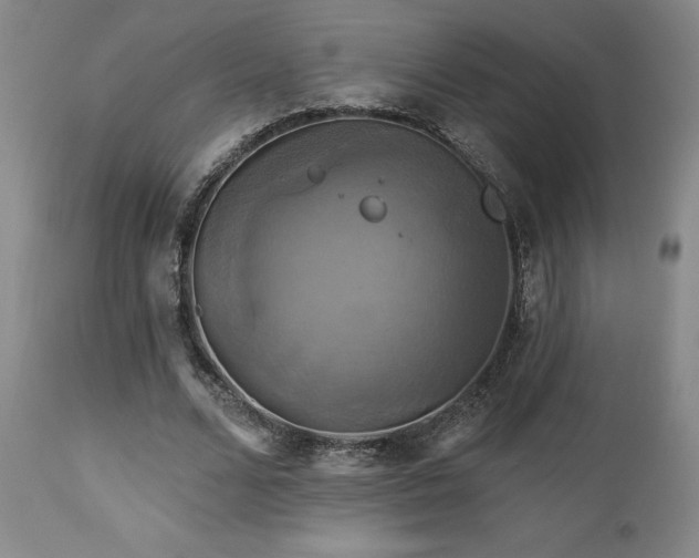 X0000113050680200908271531