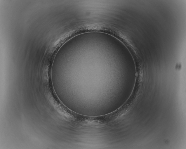 X0000113050681200908271531