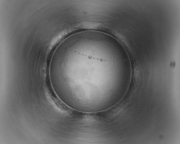 X0000113050682200908271531