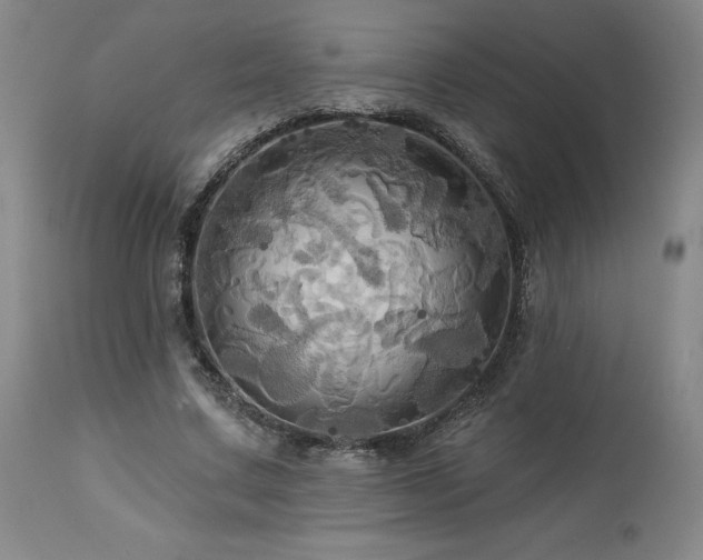 X0000113050683200908271531