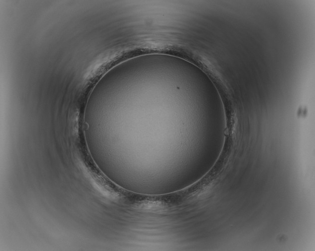 X0000113050685200908271531