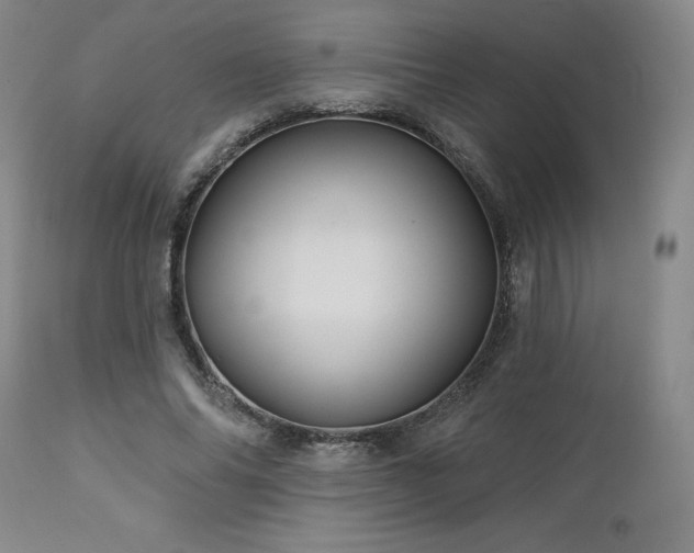 X0000113050686200908271531