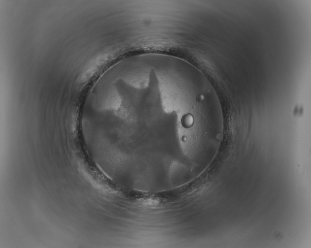 X0000113050687200908271531