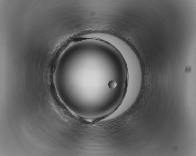 X0000113050688200908271531