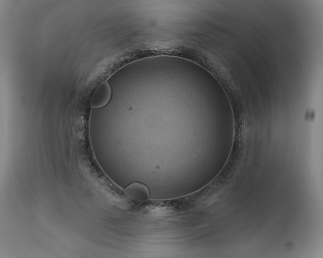 X0000113050689200908271531