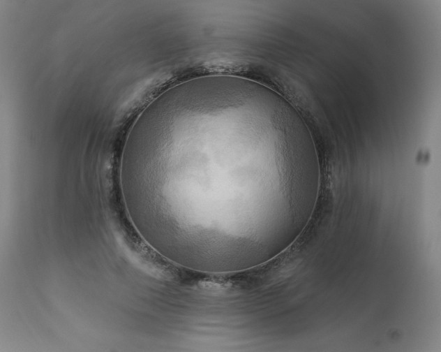X0000113050690200908271531