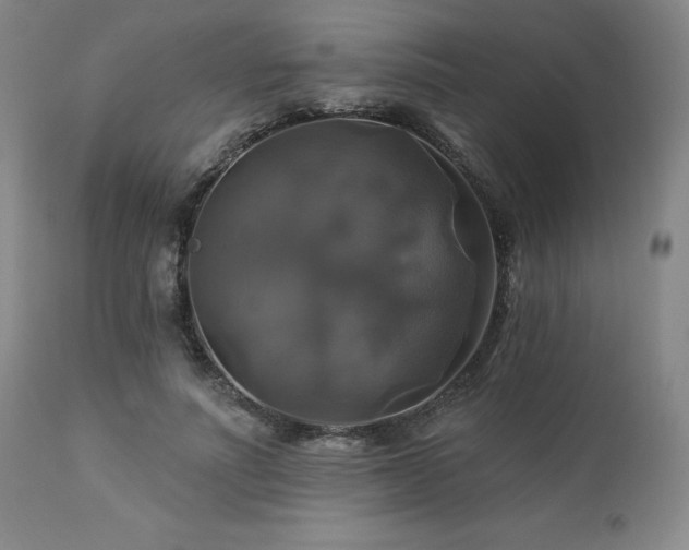 X0000113050691200908271531