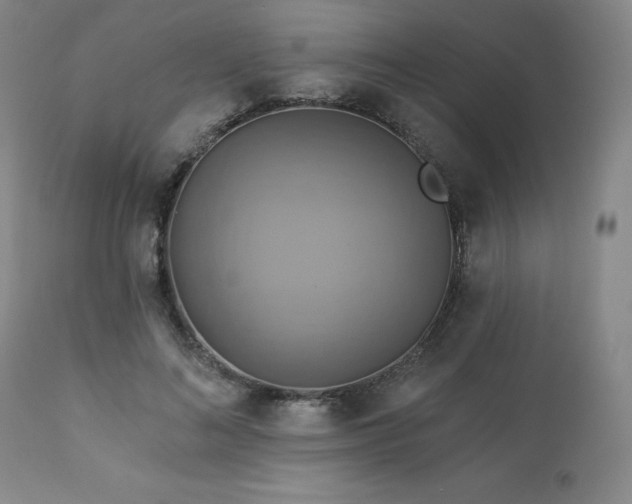 X0000113050692200908271531