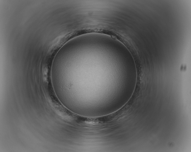 X0000113050693200908271531