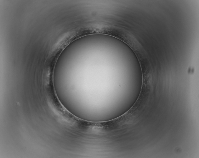 X0000113050694200908271531